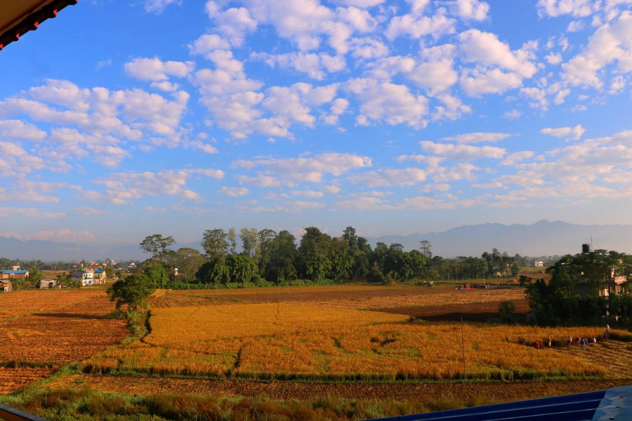 Hotel National Park- A Peaceful Family Home Where You Can Stay Peace And Enjoy And Organize The Wildlife Safari Chitwan Exterior foto