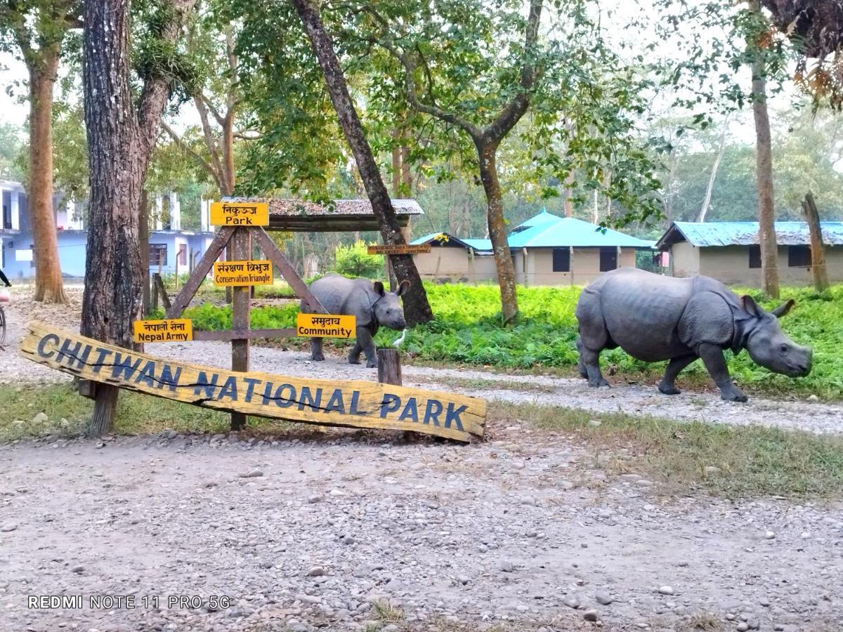 Hotel National Park- A Peaceful Family Home Where You Can Stay Peace And Enjoy And Organize The Wildlife Safari Chitwan Exterior foto