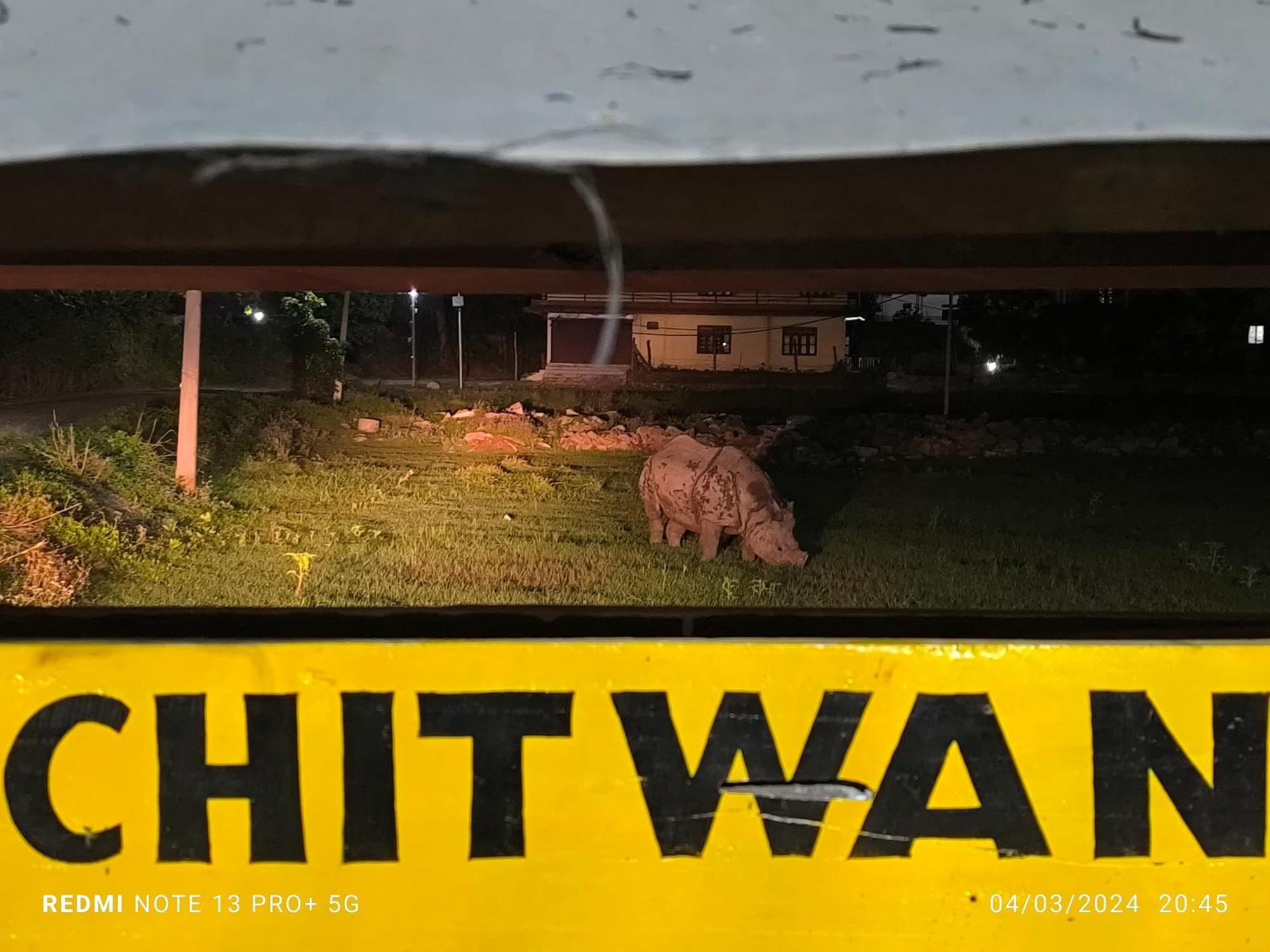 Hotel National Park- A Peaceful Family Home Where You Can Stay Peace And Enjoy And Organize The Wildlife Safari Chitwan Exterior foto